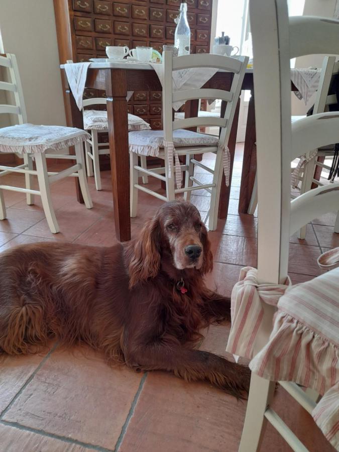 Tenuta Degli Angeli Rossi Asti Bagian luar foto