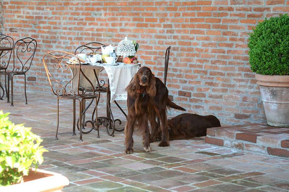 Tenuta Degli Angeli Rossi Asti Bagian luar foto
